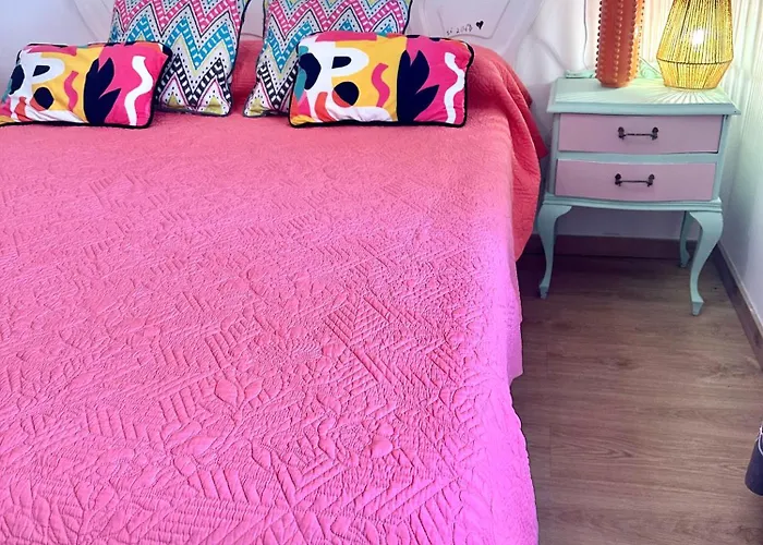 Nuevo Te Enamora * Zamora